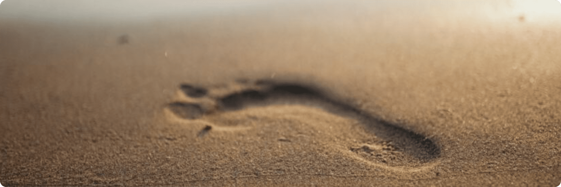 A single footprint is imprinted in the smooth, golden sand on a beach, illuminated by soft sunlight. Like the artistry of web design, the surrounding sand remains undisturbed, creating a peaceful and serene atmosphere.