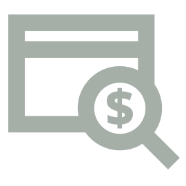A light green icon featuring a browser window with a magnifying glass in front, embodying digital marketing services. The magnifying glass contains a dollar sign, symbolizing financial search or analysis. The backdrop is a darker green, enhancing the focus on growth and online strategy.