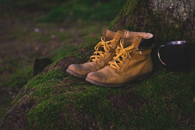 A pair of worn, tan hiking boots with yellow laces rest on a moss-covered tree root, evoking the adventurous spirit echoed by our marketing agency. A black metal mug sits nearby, nestled in the dim woodland setting—a perfect backdrop for creativity and innovation.