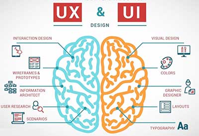 Diagram of a brain split in half, labeled UX (blue) and UI (orange). UX side features labels like Interaction Design and User Research. UI side highlights Visual Design and Colors. Both sides illustrate their role, akin to a marketing agencys strategic planning in design processes.
